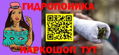 спиды Гусев
