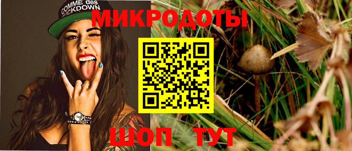 Галлюциногенные грибы MAGIC MUSHROOMS Киржач