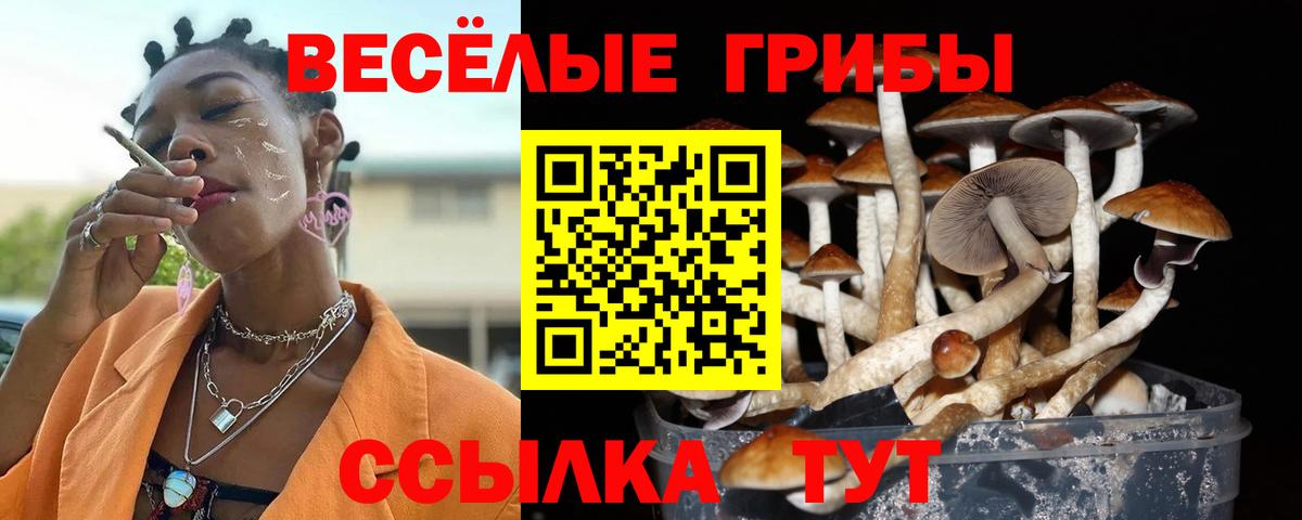 Псилоцибиновые грибы прущие грибы  Вход с VPN  Киржач 